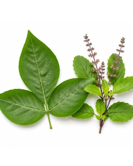 Belpatra & Tulsi Chadawa Seva