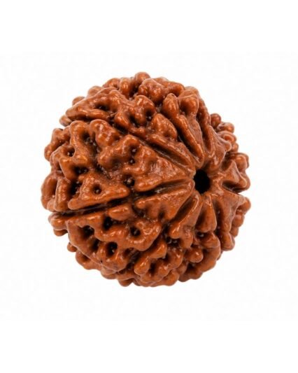 Premium Abhimantrit Rudraksha
